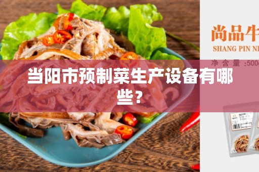 当阳市预制菜生产设备有哪些？