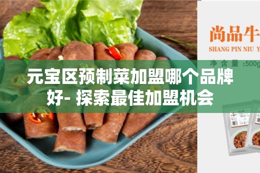 元宝区预制菜加盟哪个品牌好- 探索最佳加盟机会