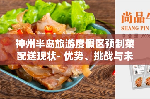 神州半岛旅游度假区预制菜配送现状- 优势、挑战与未来展望