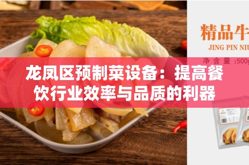 龙凤区预制菜设备：提高餐饮行业效率与品质的利器