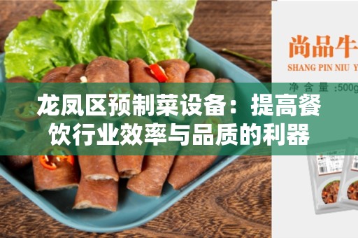 龙凤区预制菜设备：提高餐饮行业效率与品质的利器