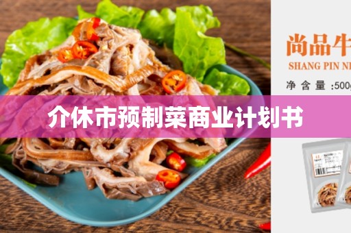 介休市预制菜商业计划书