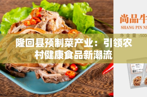 隆回县预制菜产业：引领农村健康食品新潮流