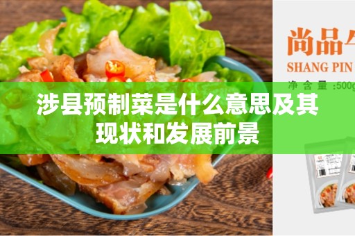 涉县预制菜是什么意思及其现状和发展前景