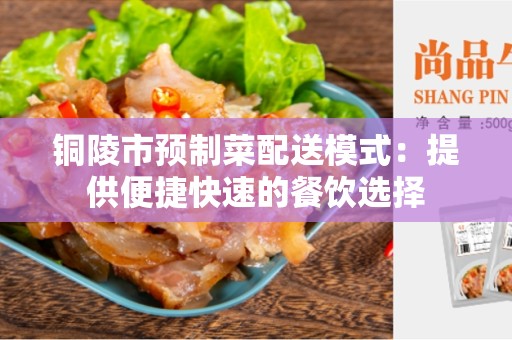 铜陵市预制菜配送模式：提供便捷快速的餐饮选择