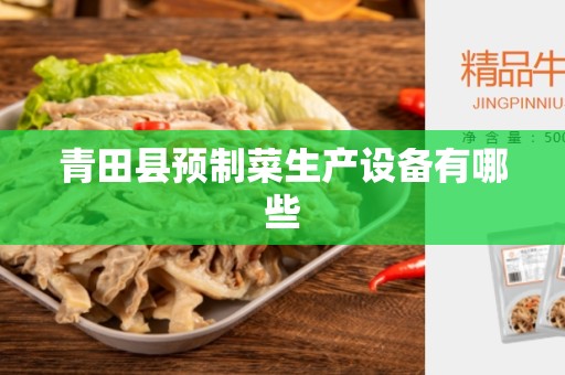 青田县预制菜生产设备有哪些