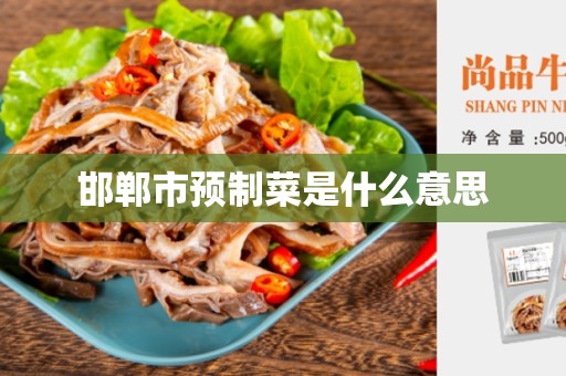 邯郸市预制菜是什么意思