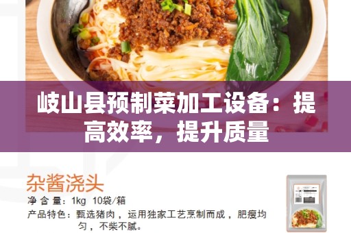 岐山县预制菜加工设备：提高效率，提升质量