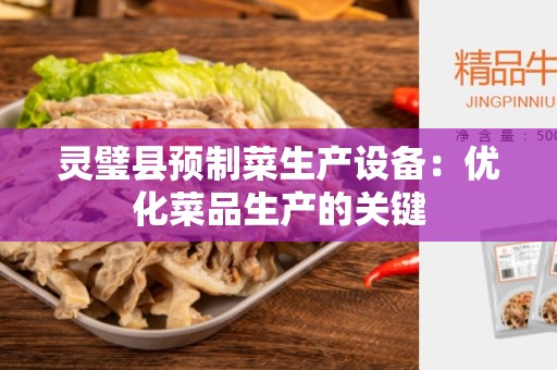 灵璧县预制菜生产设备：优化菜品生产的关键