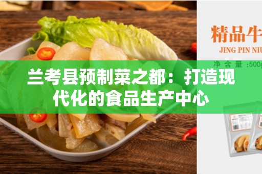 兰考县预制菜之都：打造现代化的食品生产中心