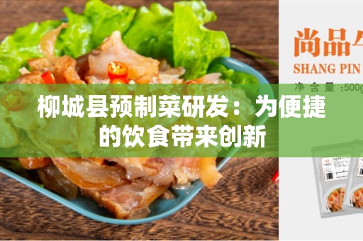 柳城县预制菜研发：为便捷的饮食带来创新