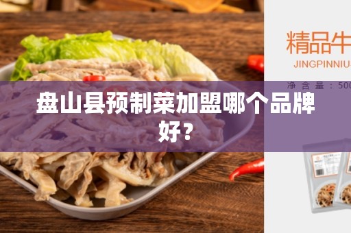 盘山县预制菜加盟哪个品牌好？