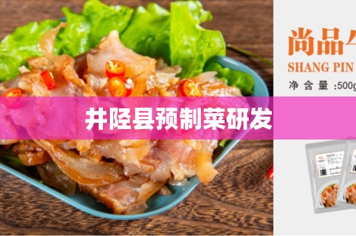 井陉县预制菜研发