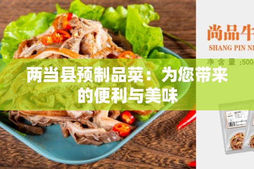 两当县预制品菜：为您带来的便利与美味
