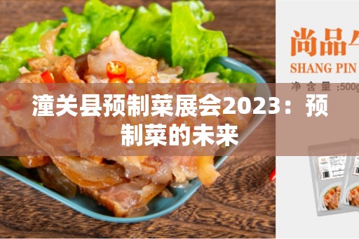 潼关县预制菜展会2023：预制菜的未来