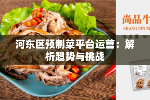 河东区预制菜平台运营：解析趋势与挑战