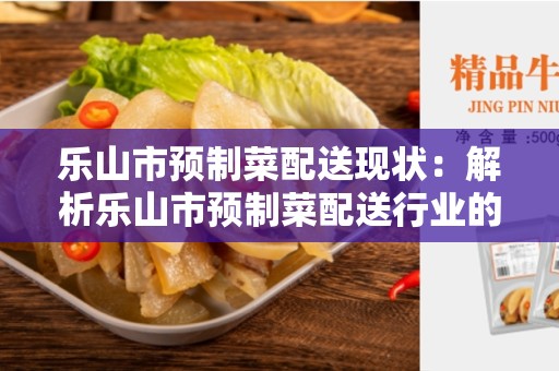 乐山市预制菜配送现状：解析乐山市预制菜配送行业的发展与挑战