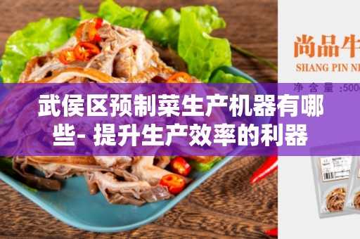 武侯区预制菜生产机器有哪些- 提升生产效率的利器