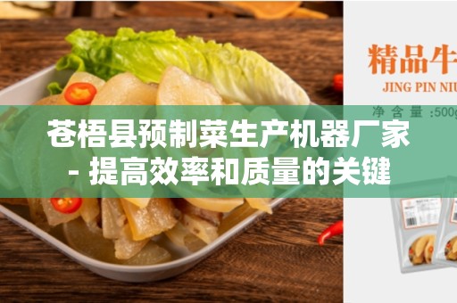 苍梧县预制菜生产机器厂家- 提高效率和质量的关键