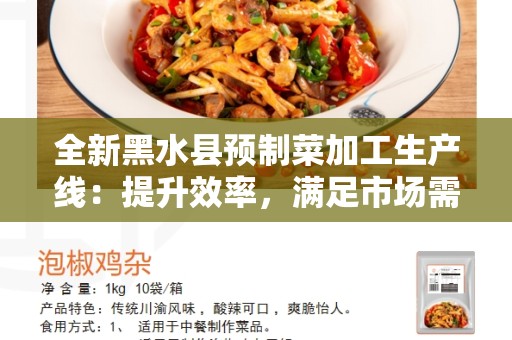 全新黑水县预制菜加工生产线：提升效率，满足市场需求