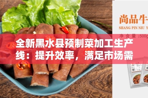 全新黑水县预制菜加工生产线：提升效率，满足市场需求