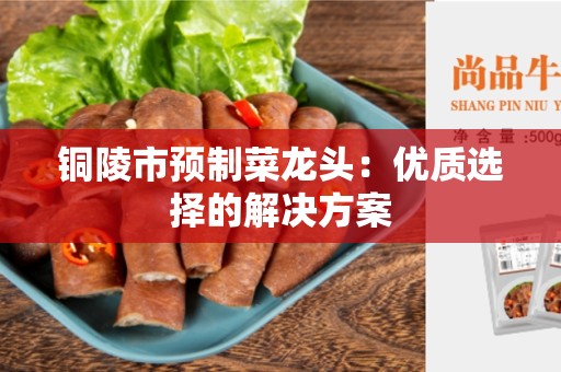 铜陵市预制菜龙头：优质选择的解决方案
