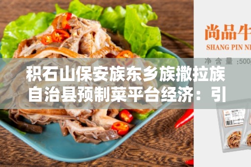 积石山保安族东乡族撒拉族自治县预制菜平台经济：引领大众健康饮食新潮流