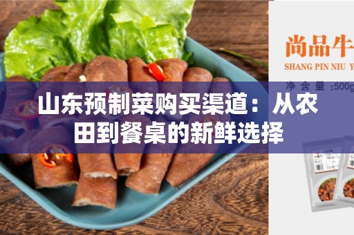 山东预制菜购买渠道：从农田到餐桌的新鲜选择