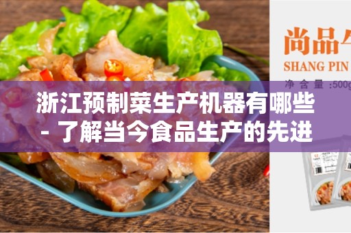 浙江预制菜生产机器有哪些- 了解当今食品生产的先进设备