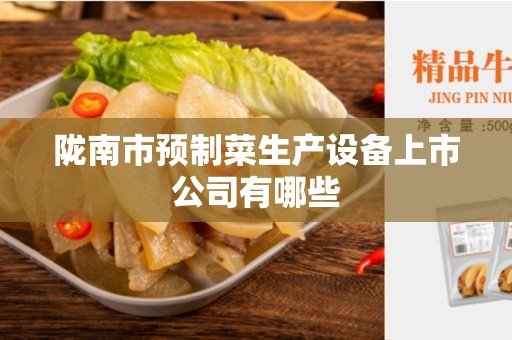 陇南市预制菜生产设备上市公司有哪些