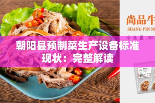 朝阳县预制菜生产设备标准现状：完整解读