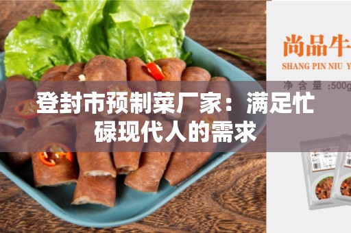 登封市预制菜厂家：满足忙碌现代人的需求