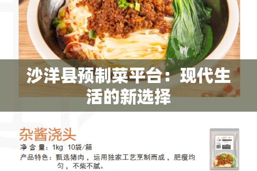 沙洋县预制菜平台：现代生活的新选择