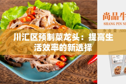 川汇区预制菜龙头：提高生活效率的新选择