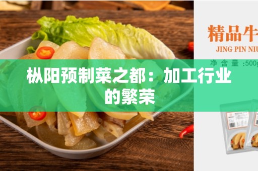 枞阳预制菜之都：加工行业的繁荣