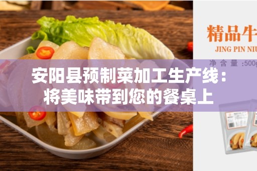 安阳县预制菜加工生产线：将美味带到您的餐桌上