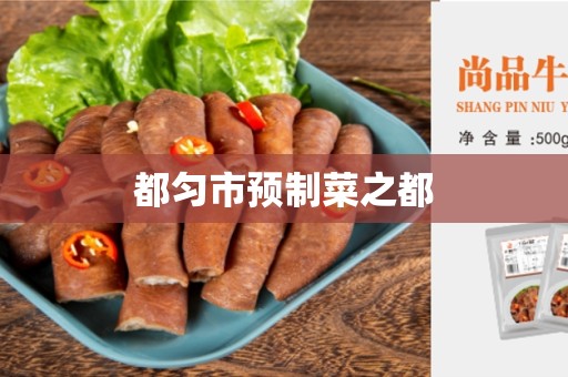 都匀市预制菜之都
