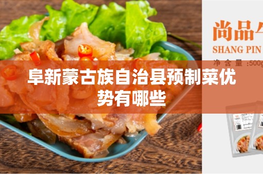 阜新蒙古族自治县预制菜优势有哪些