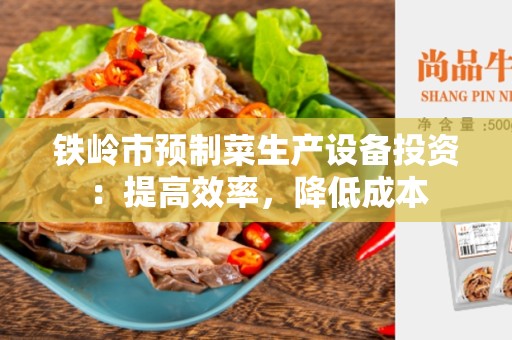 铁岭市预制菜生产设备投资：提高效率，降低成本