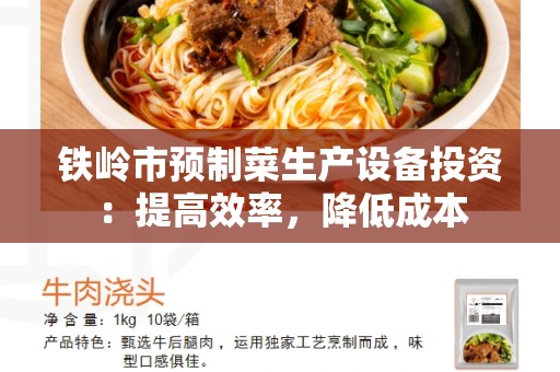 铁岭市预制菜生产设备投资：提高效率，降低成本