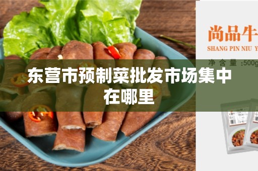 东营市预制菜批发市场集中在哪里