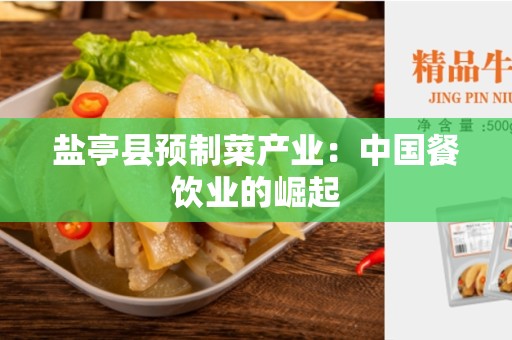 盐亭县预制菜产业：中国餐饮业的崛起