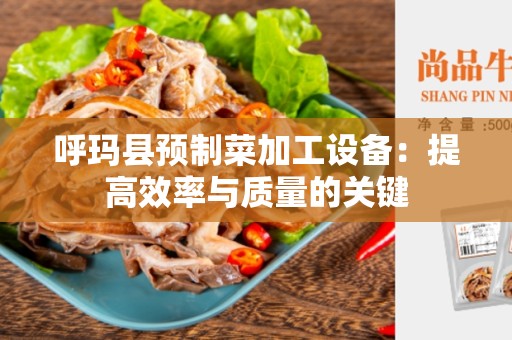 呼玛县预制菜加工设备：提高效率与质量的关键