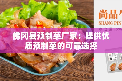 佛冈县预制菜厂家：提供优质预制菜的可靠选择