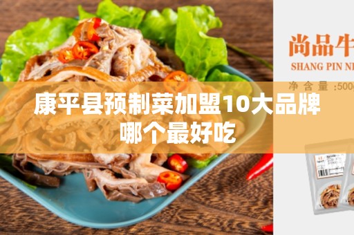康平县预制菜加盟10大品牌哪个最好吃