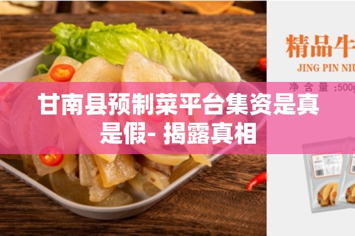 甘南县预制菜平台集资是真是假- 揭露真相
