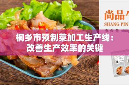 桐乡市预制菜加工生产线：改善生产效率的关键