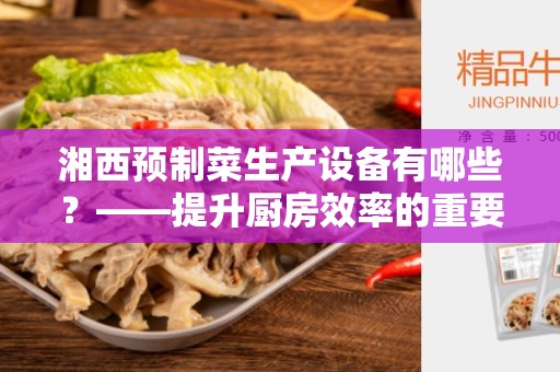 湘西预制菜生产设备有哪些？——提升厨房效率的重要工具