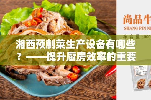 湘西预制菜生产设备有哪些？——提升厨房效率的重要工具