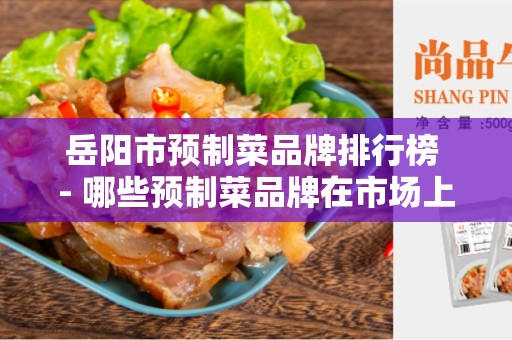 岳阳市预制菜品牌排行榜 - 哪些预制菜品牌在市场上表现优秀？